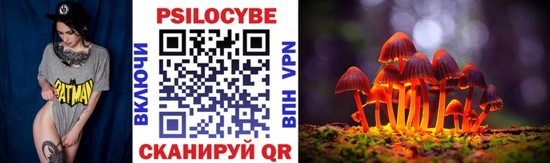 как найти закладки мега ONION Галлюциногенные грибы Magic Shrooms Волоколамск